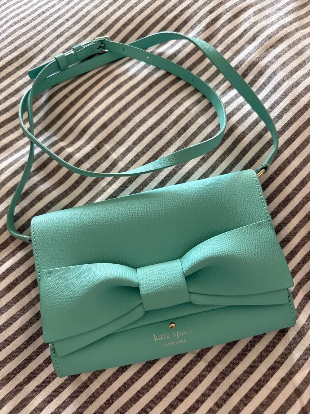 Kate Spade Aqua Clement Street Francie Bow Crossbody Bag/Clutch